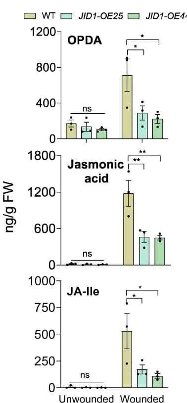 Open access visualization of Bar Plot, Error Bars, JA Profiles, Plants, Wounding