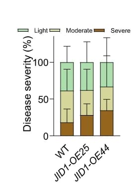 Open access visualization of Stacked Bar Plot, Error Bars, Disease Severity, Plants, Student’s t-test