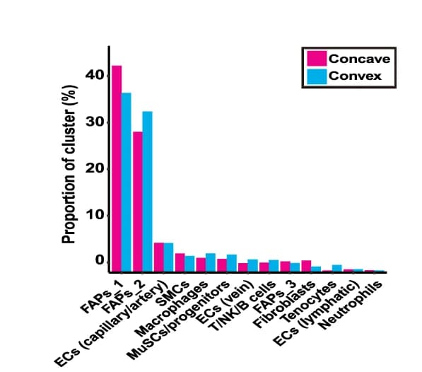 Open access visualization of Bar Plot, Clustered, Cell Type, Percentage