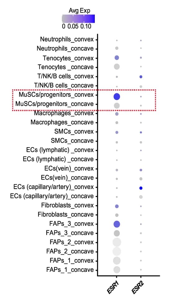 Open access visualization of Bubble Plot, Scatter Plot, Dot Graph, ESR1, ESR2