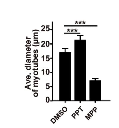 Open access visualization of Bar Plot, Error Bars, Gene Expression, Esr1, Muscle Stem Cells