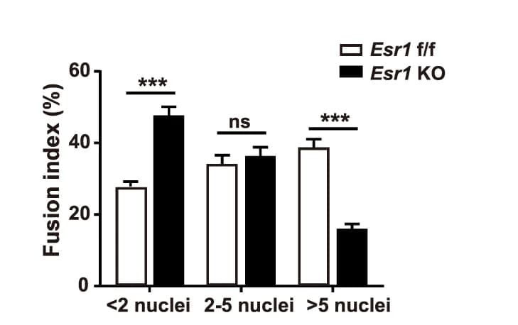 Open access visualization of Bar Plot, Error Bars, Clustered, Fusion Index, Myotubes