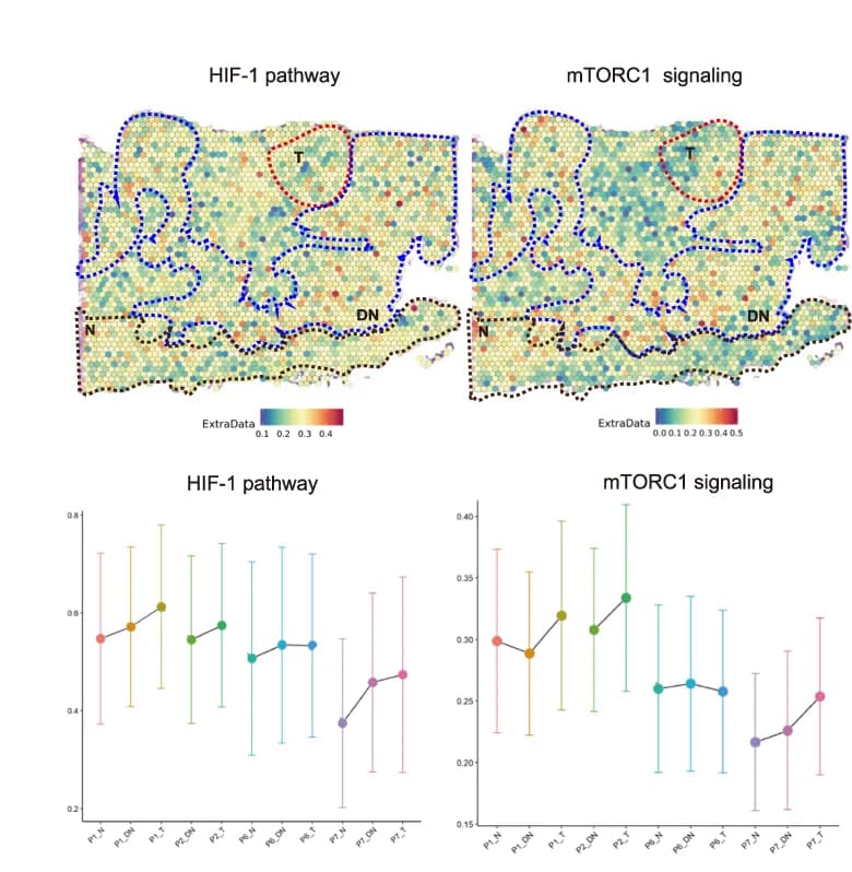 Open access visualization of Line Plot, Error Bars, Heatmap, OSCC, ST Feature Plots