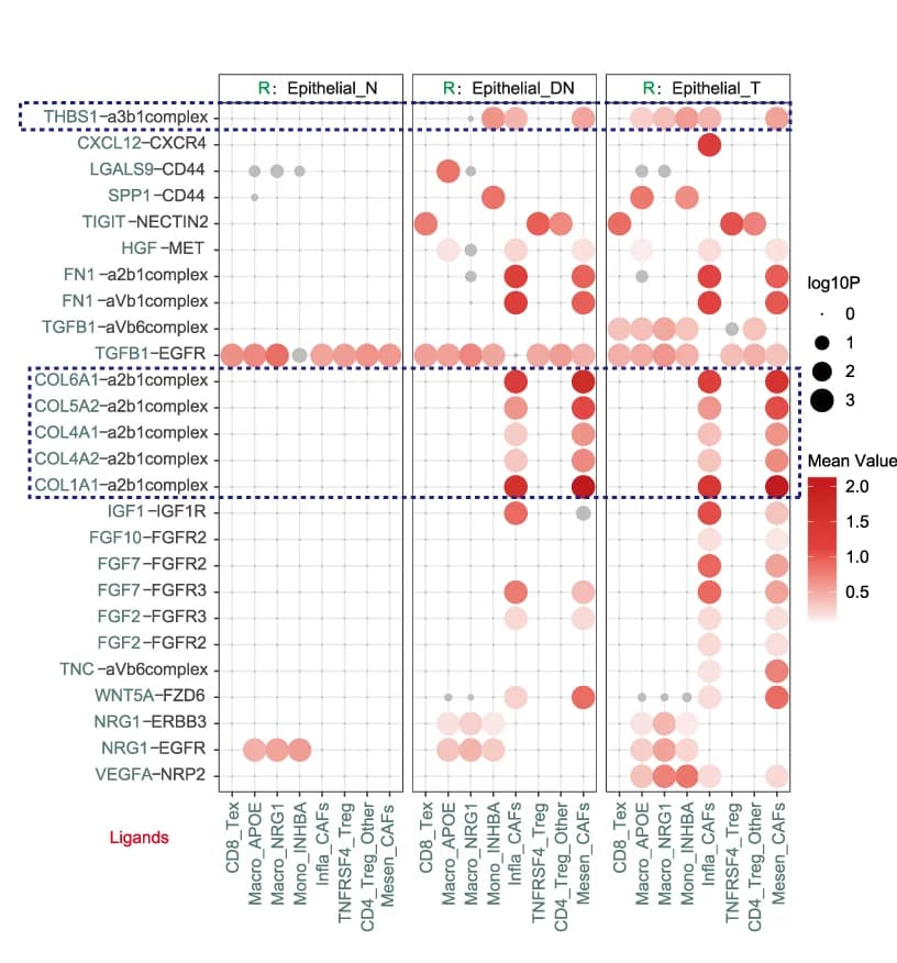 Open access visualization of Bubble Plot, Dotplots, Interactions, T Cells, Myeloid Cells