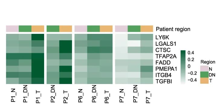 Open access visualization of Heatmap, Statistical Analyses, Genes, ST Feature Plots
