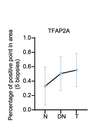 Open access visualization of Line Plot, Error Bars, Statistical Results, TFAP2A, Tissue Regions