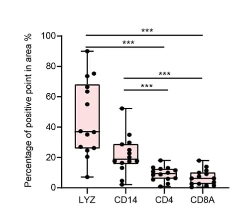 Open access visualization of Box Plot, Scatter Plot, LYZ, CD14, CD4
