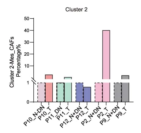Open access visualization of Bar Plot, Cell Proportions, Cluster 2-Mesen_CAF, T Stage, N+DN Stages