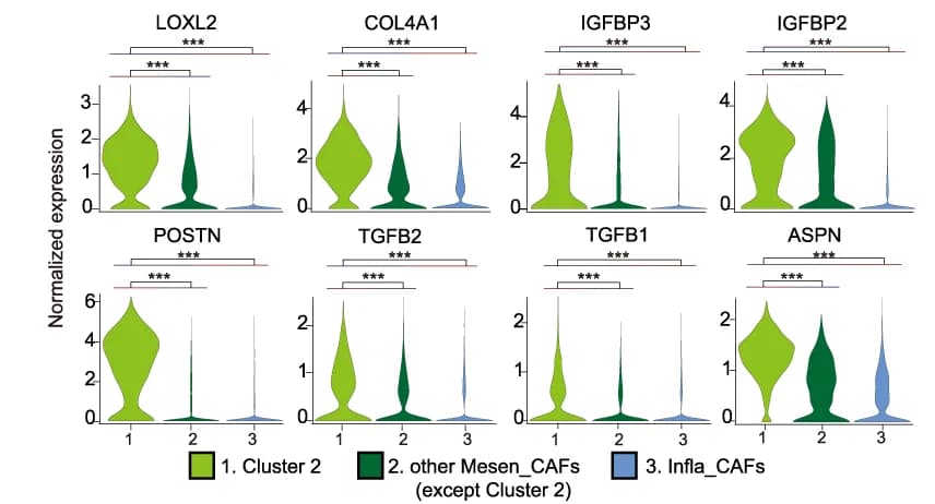 Open access visualization of Violin Plot, Line Charts, Macro_APOE/NRG1, Cell Proportions, DN Stage