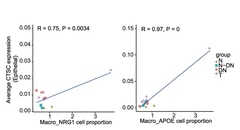 Open access visualization of Scatter Plot, Regression Plot, Pearson Correlation Plot, Macro_APOE/NRG1, CTSC Expression