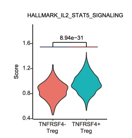 Open access visualization of Violin Plot, Violin Plots, Metagene Expression, IL2-STAT5 Signaling, TNFRSF4+ Tregs