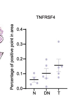 Open access visualization of Scatter Plot, Error Bars, Statistical Results, TNFRSF4, Tissue Regions