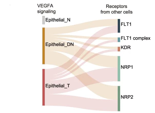 Open access visualization of Sankey, Alluvial Plot, VEGFA, NRP1, NRP2