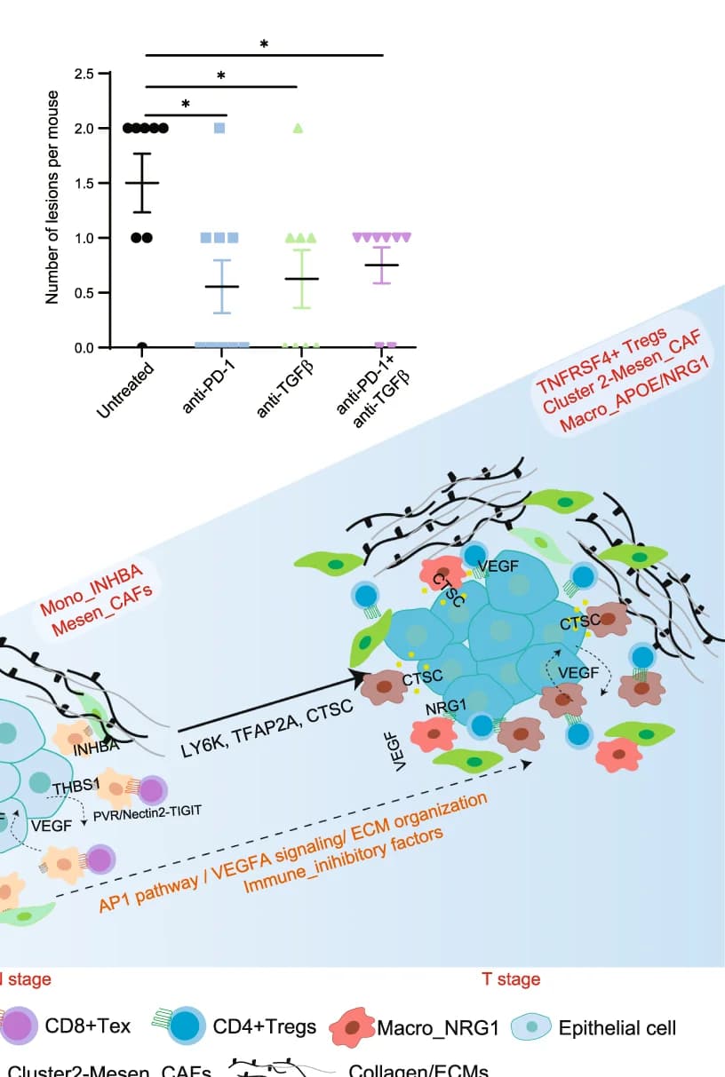 Open access visualization of Error Bars, Scatter Plot, Illustration, Statistical results, Macroscopic lesions