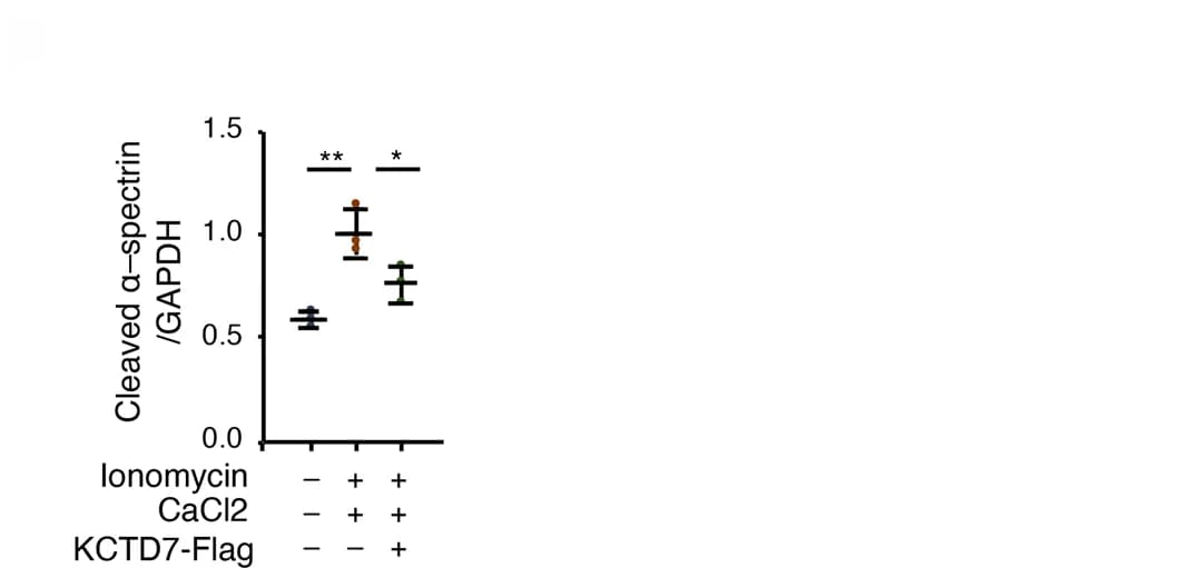 Open access visualization of Error Bars, Bar Plot, HEK293 Cells, Ionomycin/CaCl2, KCTD7