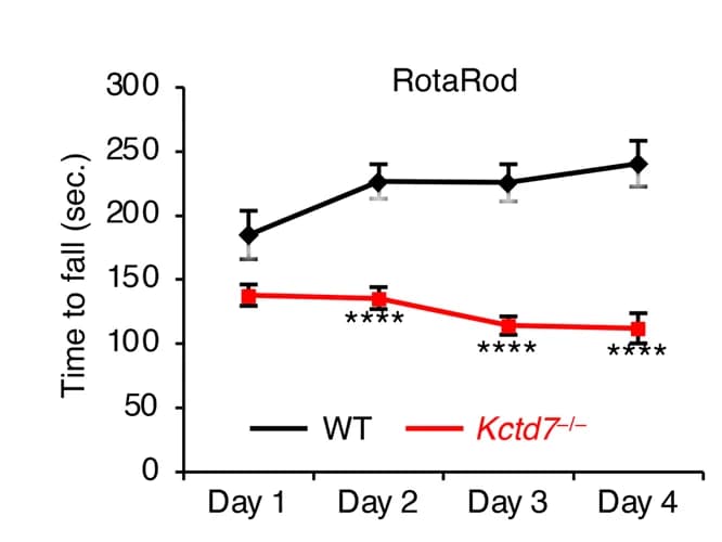 Open access visualization of Line Plot, Error Bars, Rotarod Test, Latency