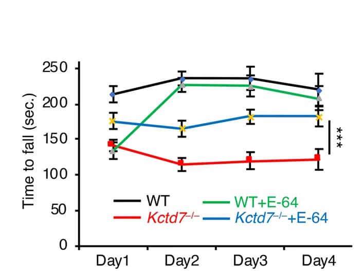 Open access visualization of Line Plot, Error Bars, Rotarod Test, Latency to Fall, WT Mice