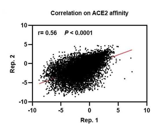 Open access visualization of Scatter Plot, Regression Plot, Correlation Analysis, FC, Replicates