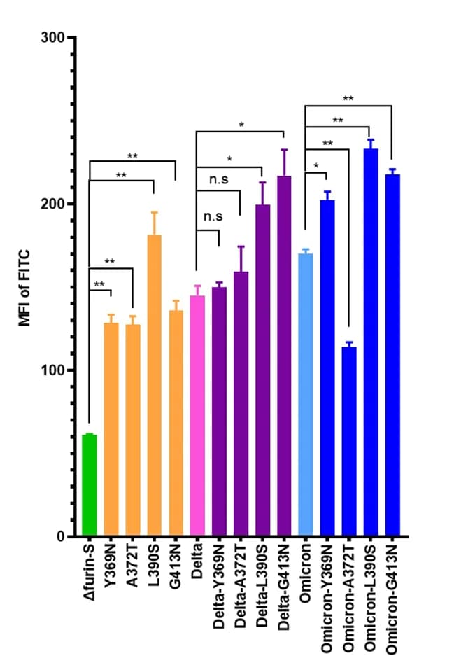 Open access visualization of Bar Plot, Error Bars, MFI, FITC, Furin-S
