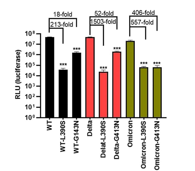 Open access visualization of Bar Plot, Error Bars, Relative Infectivity, WT-S, Delta-S
