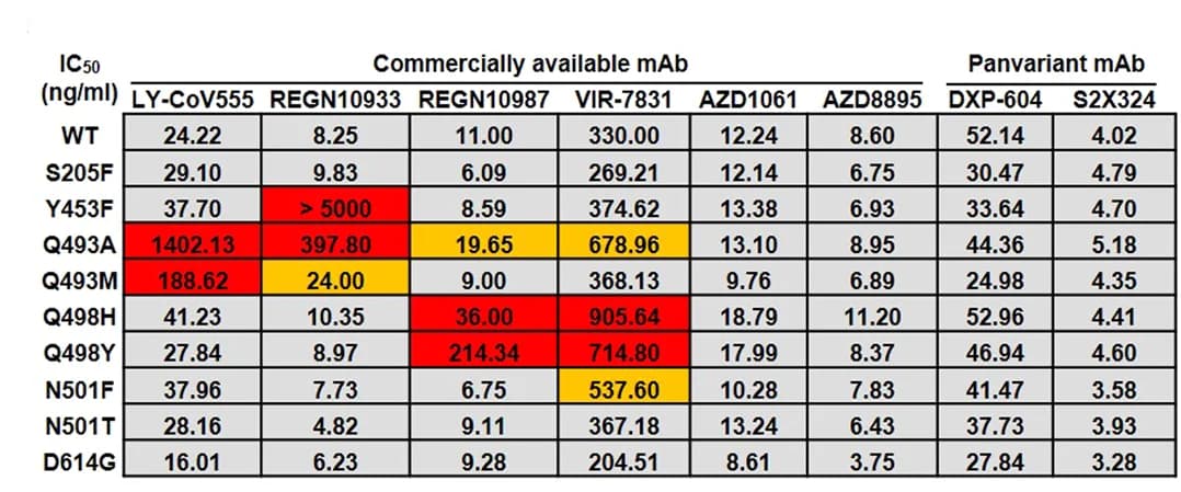 Open access visualization of Table Image, S Variant Pseudoviruses, IC50, Monoclonal Antibodies, mAb Evasion
