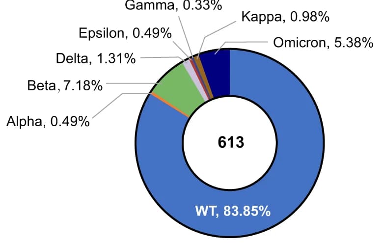Open access visualization of Donut Chart, Strain, S Protein, Subcomplex, Wild Type