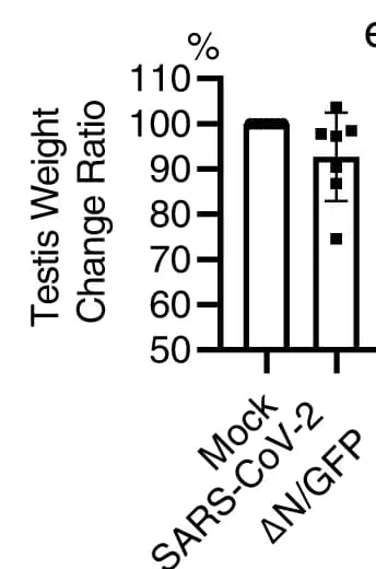 Open access visualization of Bar Plot, Error Bars, Testis Weight, Mean, SD
