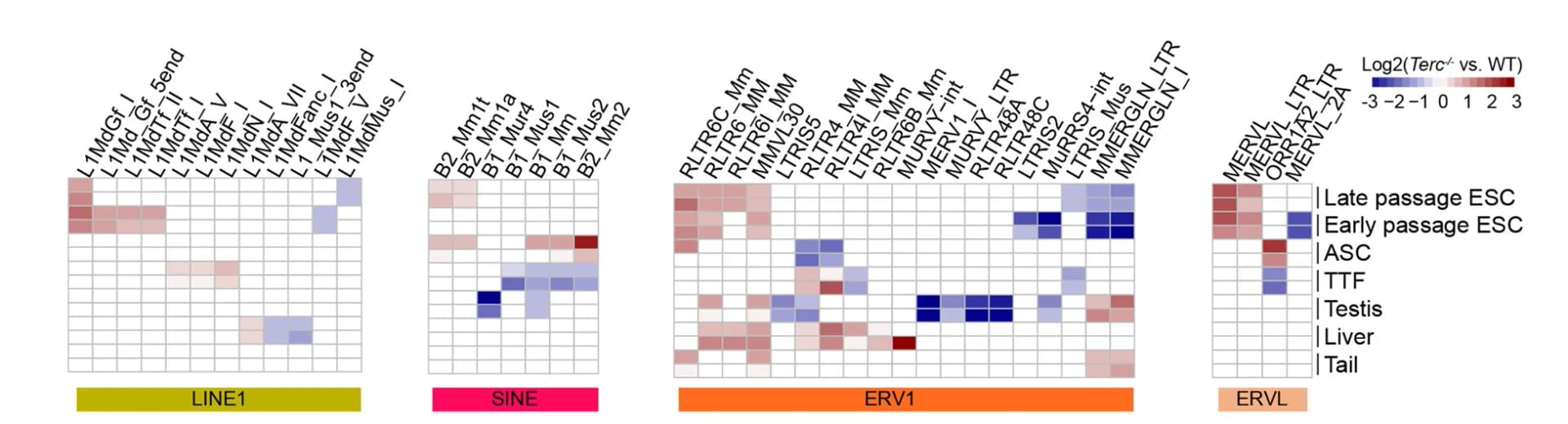 Open access visualization of Heatmap, Differentially Expressed TEs, Fold Change, Telomere Tissues, Cells