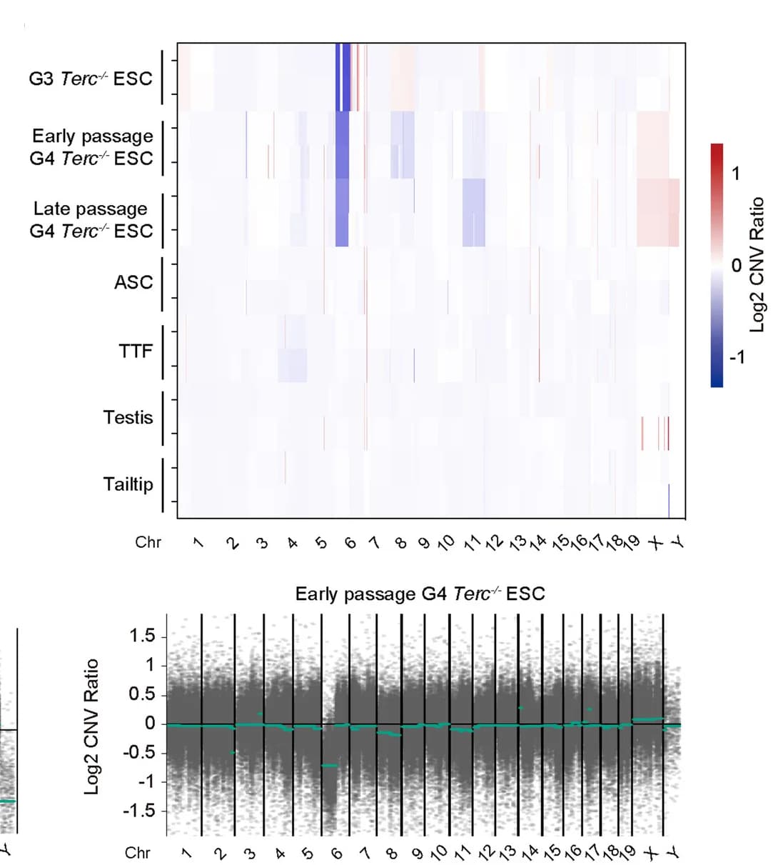 Open access visualization of Heatmap, Scatter Plot, CNV Profiles, Cell Types, Tissues