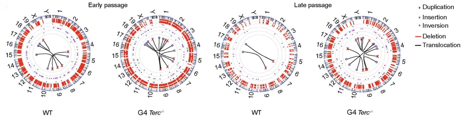 Open access visualization of Network, Pathway, Chromatin Structure, ESCs, Circos Plot