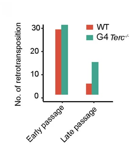 Open access visualization of Bar Plot, Clustered, TE Insertions, ESCs