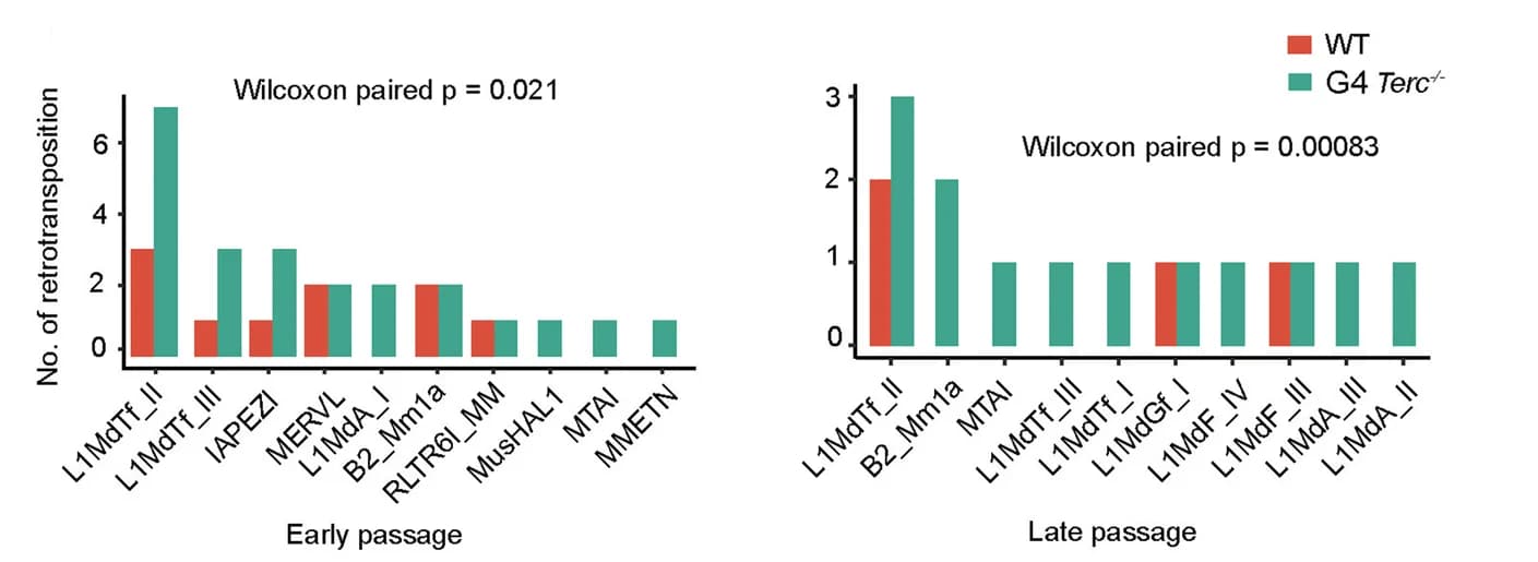 Open access visualization of Bar Plot, Clustered, TE Insertions, TE Classes, ESCs