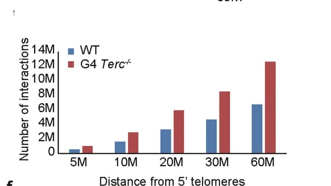 Open access visualization of Bar Plot, Clustered, Interactions, Left Subtelomeric Regions, WT