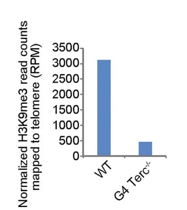 Open access visualization of Bar Plot, H3K9me3, Telomeres, ChIP-seq