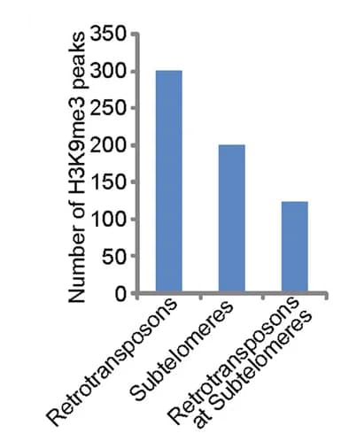 Open access visualization of Bar Plot, H3K9me3, Retrotransposons, Subtelomeres, ESCs
