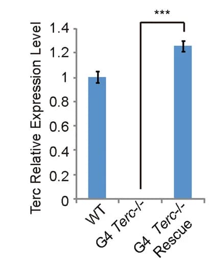 Open access visualization of Bar Plot, Error Bars, Expression Levels, ESCs