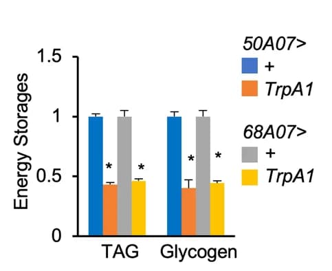 Open access visualization of Bar Plot, Error Bars, Clustered, TAG, Glycogen