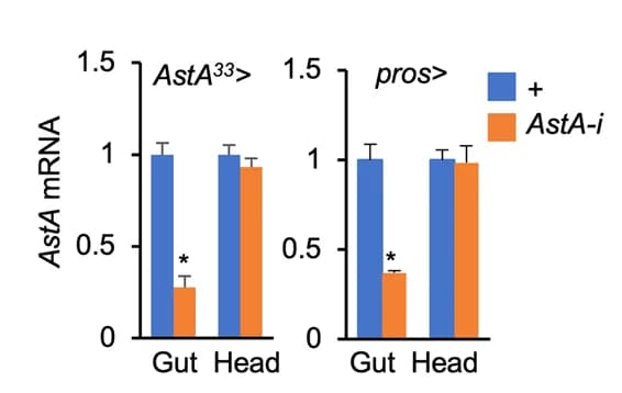 Open access visualization of Bar Plot, Clustered, Error Bars, mRNA, AstA