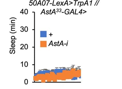 Open access visualization of Line Plot, Error Bars, Line Step, Sleep, Flies