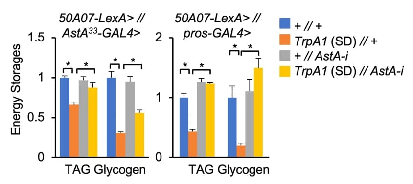 Open access visualization of Bar Plot, Error Bars, Clustered, TAG, Glycogen