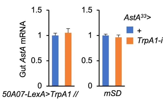 Open access visualization of Bar Plot, Error Bars, Clustered, AstA, mRNA