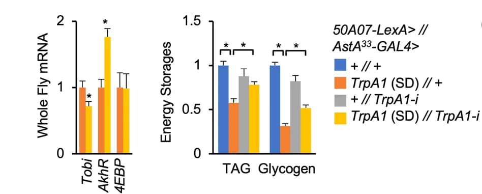 Open access visualization of Bar Plot, Error Bars, Clustered, Gene Expression, TAG