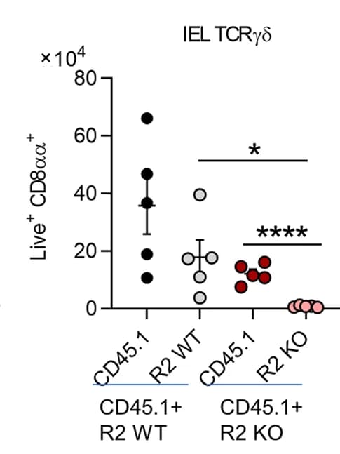 Open access visualization of Scatter Plot, Error Bars, TCRgammadelta, CD8alphaalpha, IELs