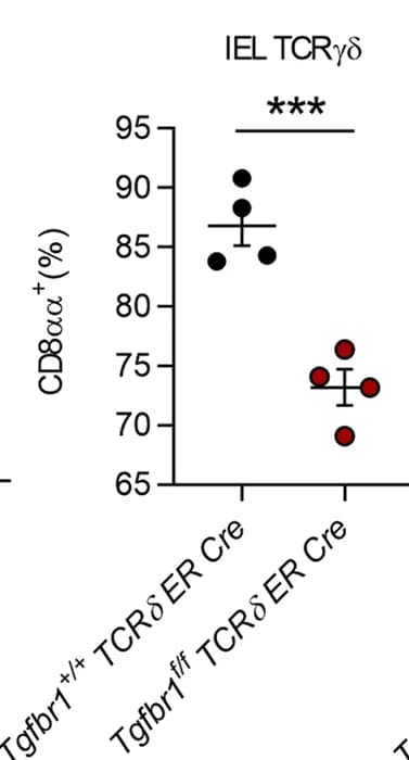 Open access visualization of Scatter Plot, Error Bars, TCRgammadelta, CD8alphaalpha, IELs