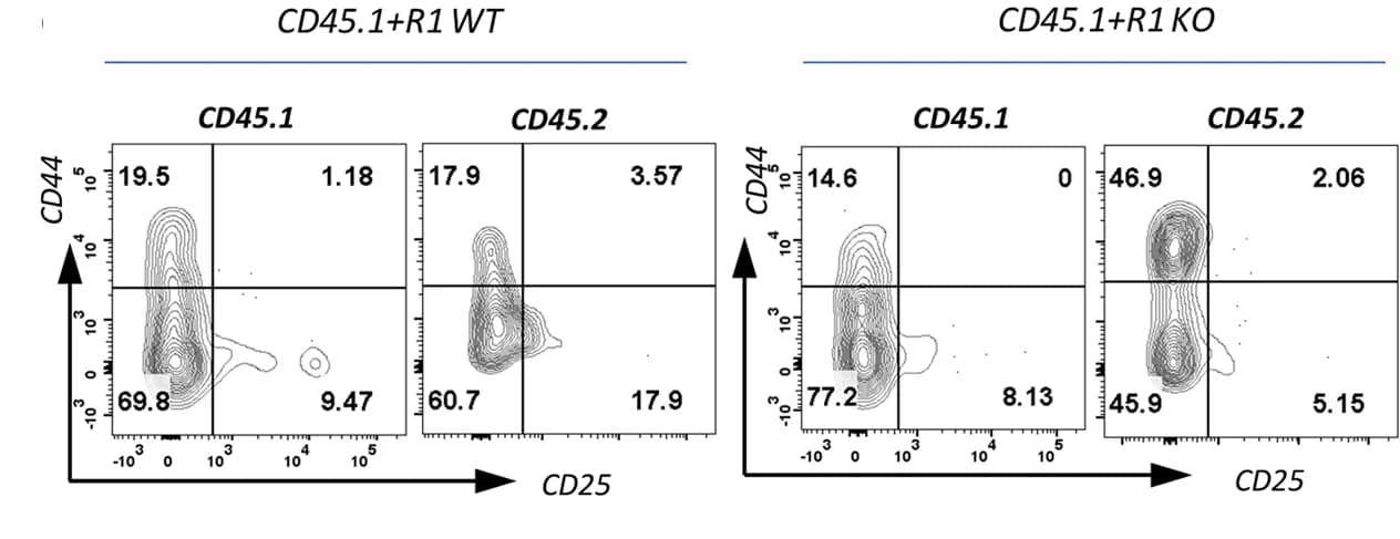 Open access visualization of Scatter Plot, FACS Plot, Thymic γδT Cells, CD44, CD25