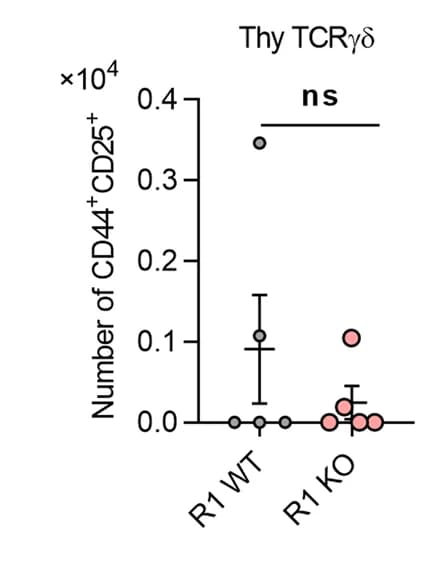 Open access visualization of Scatter Plot, Error Bars, Absolute Number, CD44+ CD25+ Population