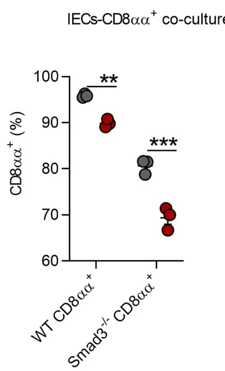 Open access visualization of Scatter Plot, TCRgamma delta, CD8alpha alpha, IELs, Frequency