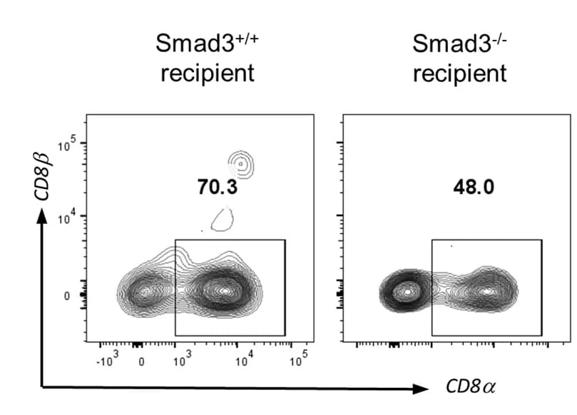 Open access visualization of Scatter Plot, FACS Plot, CD8alpha, CD8beta, gamma delta IELs