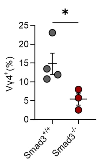 Open access visualization of Scatter Plot, Error Bars, Vgamma4, gamma delta IELs, Smad3