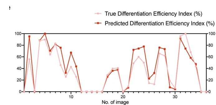 Open access visualization of Line Plot, Differentiation Efficiency Index, Fluorescence Intensity, Image Prediction, Whole-Well Images